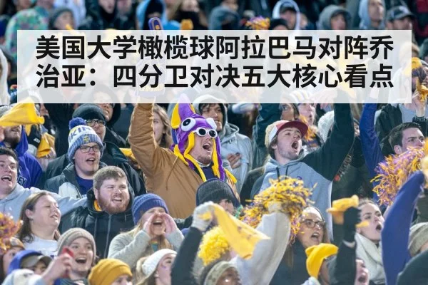 college football stadium crowd