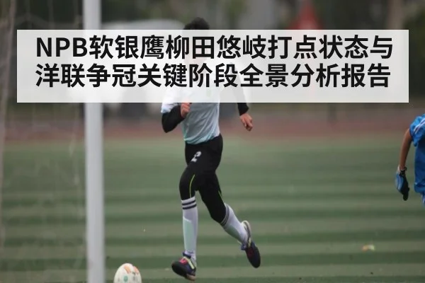 NPB软银鹰柳田悠岐打点状态与洋联争冠关键阶段全景分析报告 - kaiyun